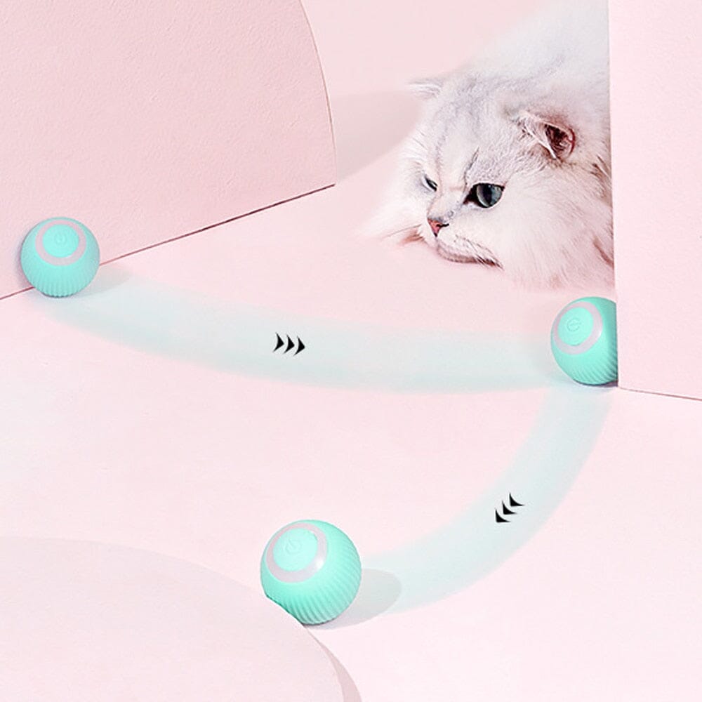 AutoBall™ - Jouet électrique interactifs pour chats - Le royaume des félins