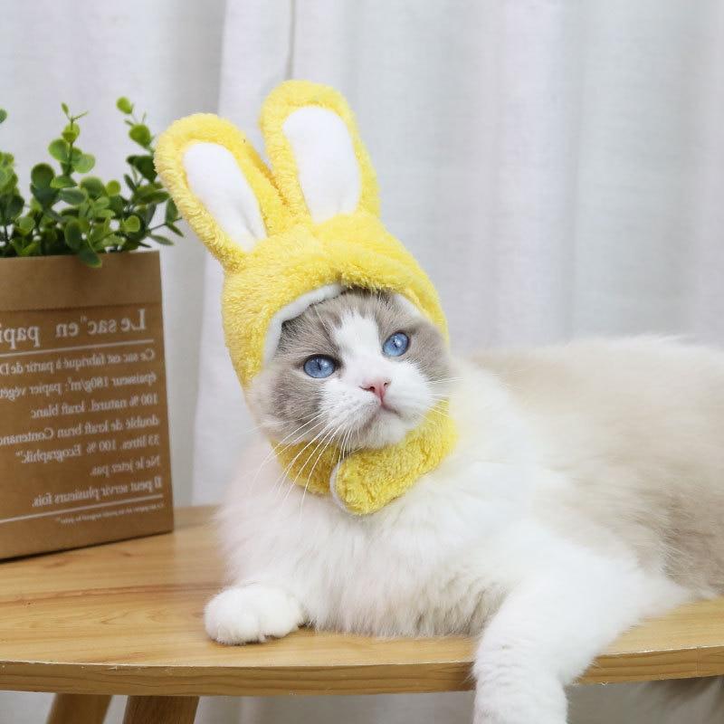 RabbitHat™ - Accessoire de déguisement pour chat - Le royaume des félins